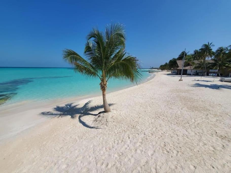 Casa Salina Apartman Isla Mujeres Kültér fotó